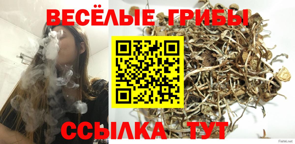 Галлюциногенные грибы ЛСД Жигулёвск